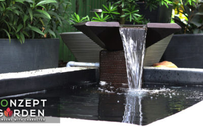 How to Choose a Pond or Fountain for Your Home?