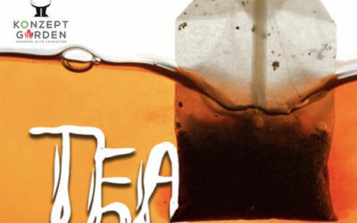 Don't Toss Your Used Tea Bags
