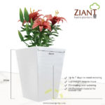 Ziant Hydro Planter Pot (M-L) Image