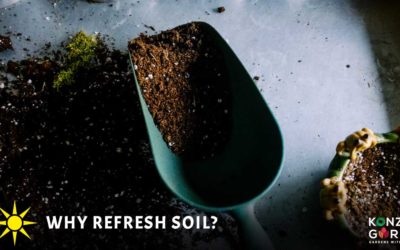 How and Why Refresh Soil