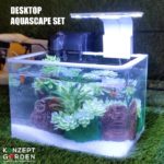 Desktop Aquascape Set | Aquarium Crystal Clear Square Tank | +FREE Item Image