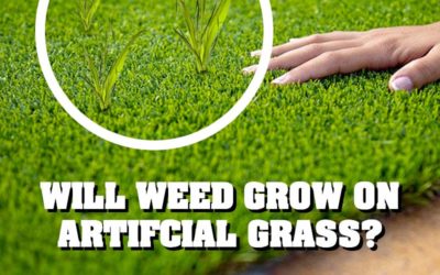 DOES WEED GROW ON ARTIFICIAL GRASS?
