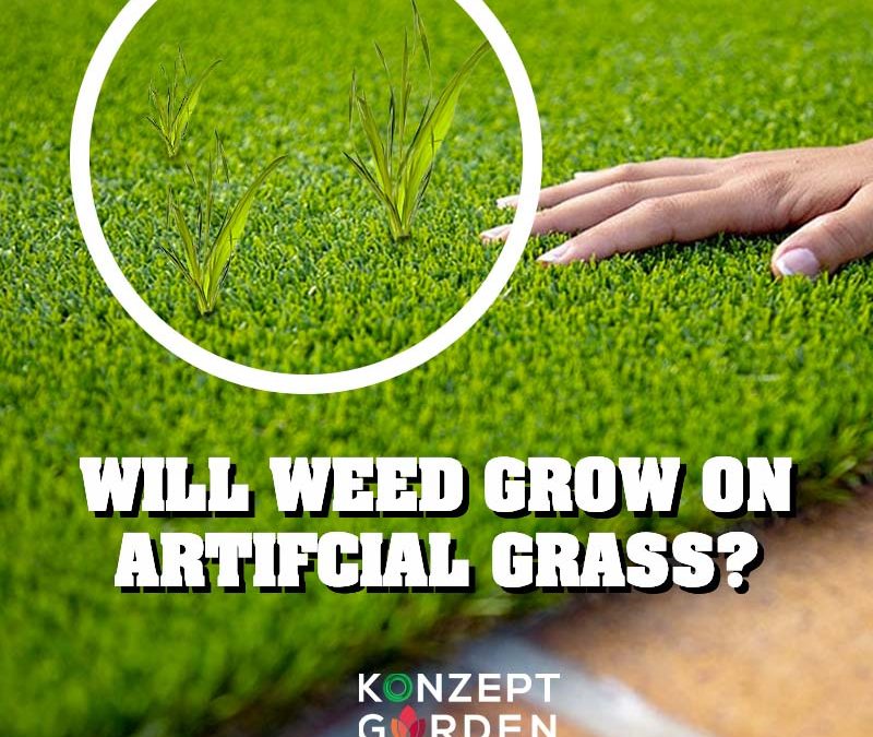 DOES WEED GROW ON ARTIFICIAL GRASS?