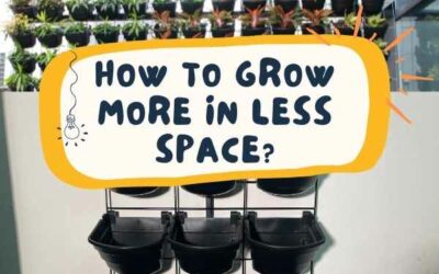 How to Grow More in Less Space?
