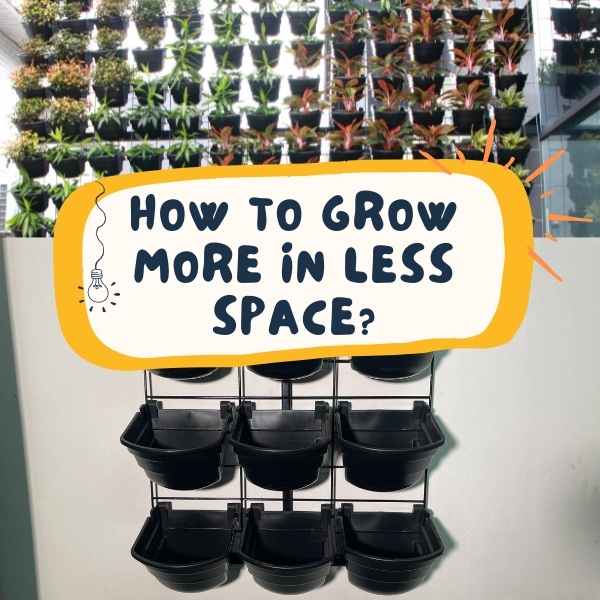 How to Grow More in Less Space?