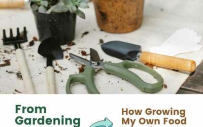 From Gardening Newbie to Green Thumb: How Growing My Own Food Transformed My Life