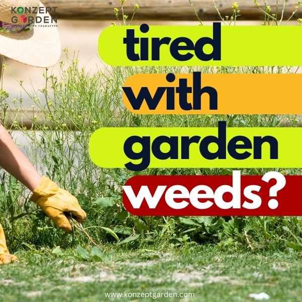 How to Reduce Weeds in Your Garden?