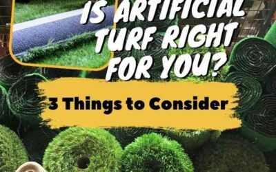 Is Artificial Turf Right for You? 3 Things to Consider Before Installing a Fake Lawn.
