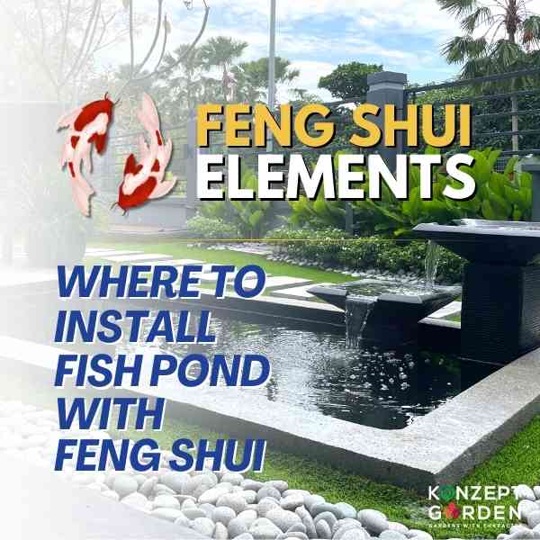 Where to install fish pond with Feng Shui Elements?