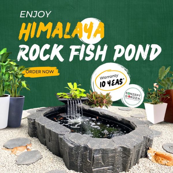 Himalaya Rock Fish Pond